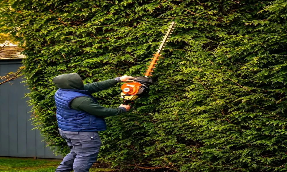 TRIMMING
